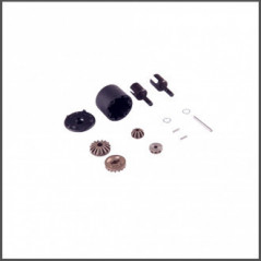 L6015 SET COMPLETO DIFFERENZIALE 2 SATELLITI